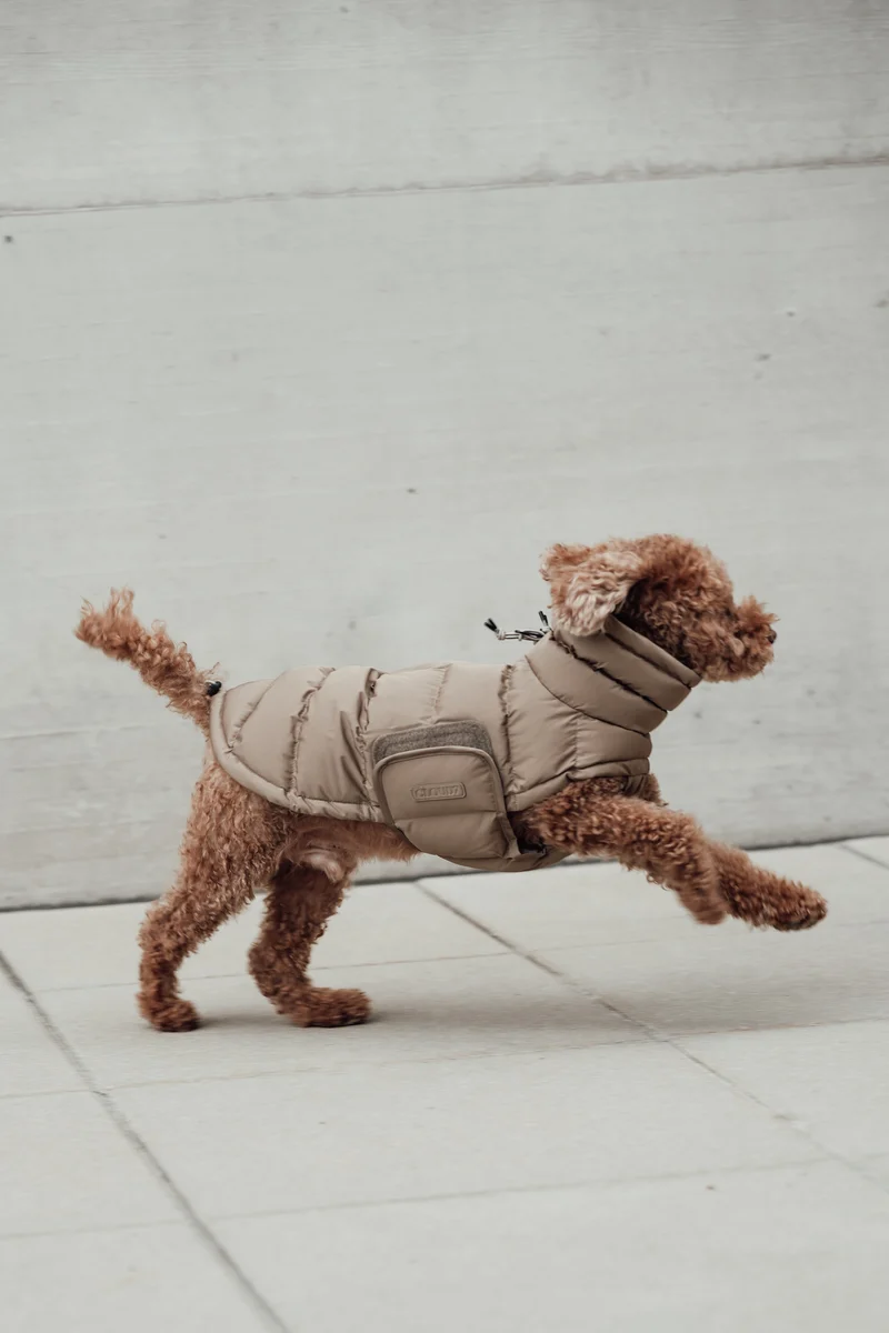 Hundemantel Alaska Sandy Brown