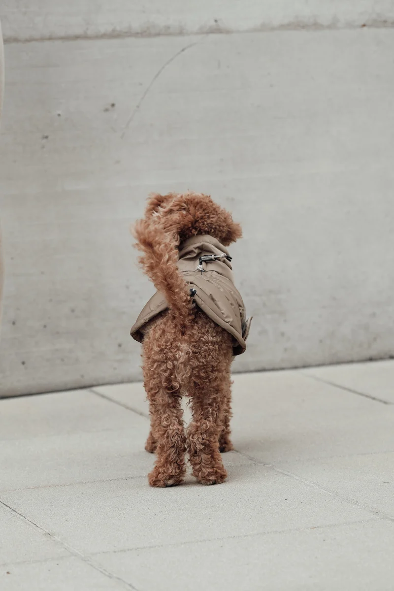 Hundemantel Alaska Sandy Brown