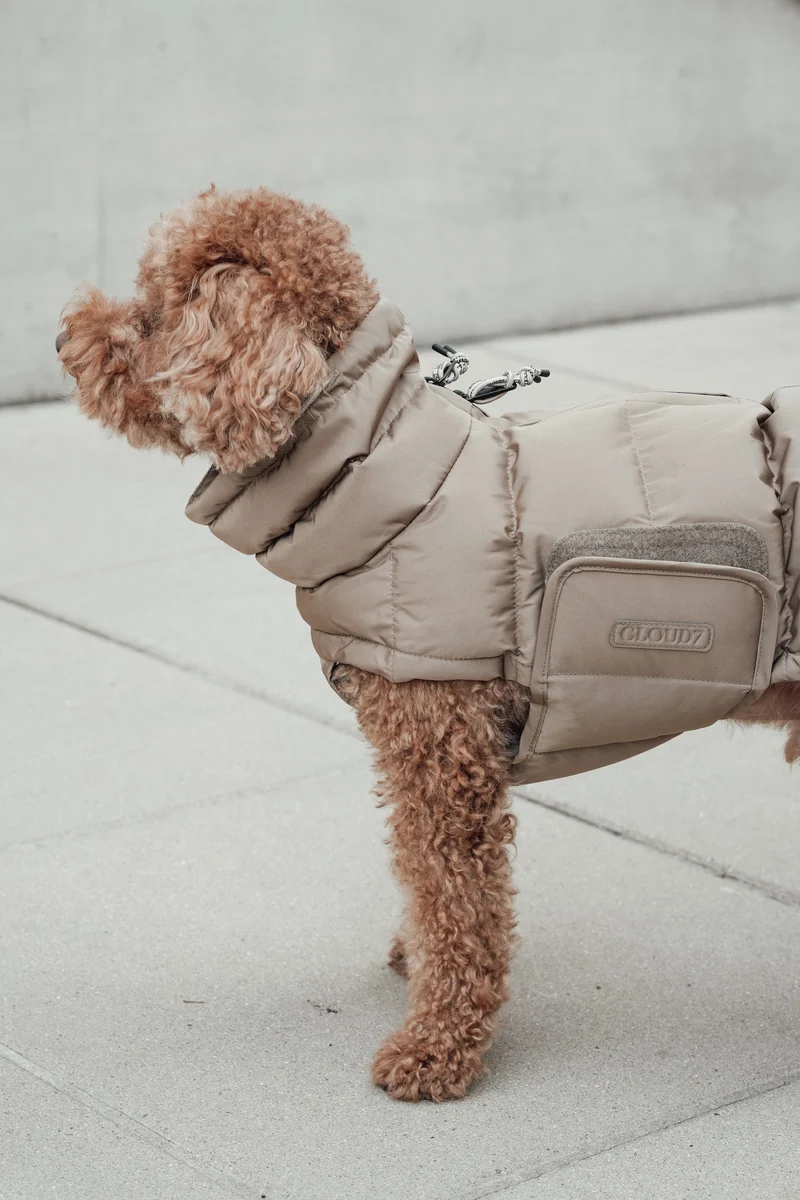 Hundemantel Alaska Sandy Brown