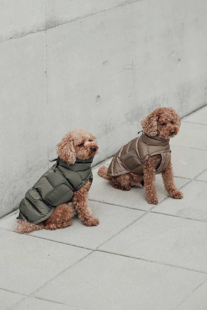 Hundemantel Alaska Light Olive