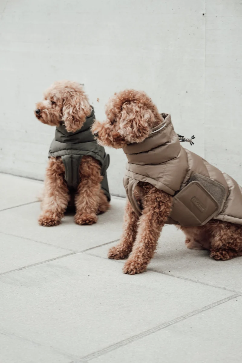 Hundemantel Alaska Light Olive