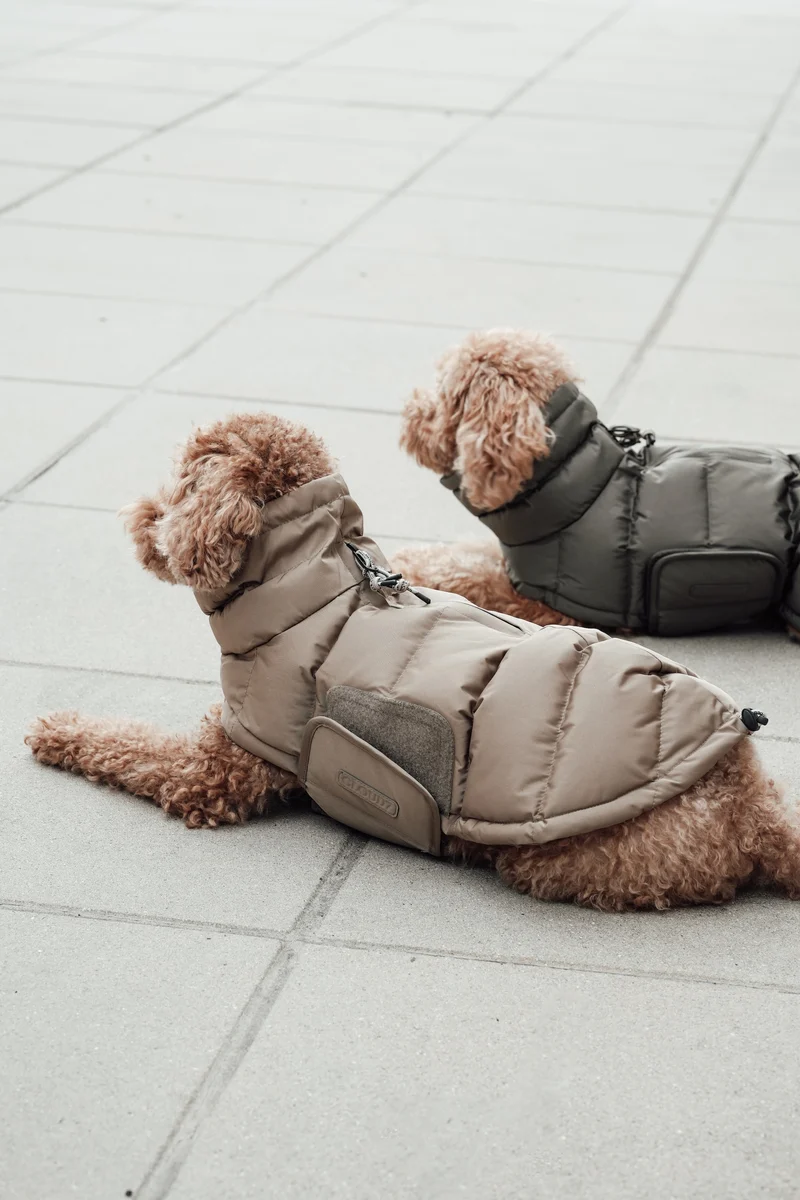 Hundemantel Alaska Light Olive