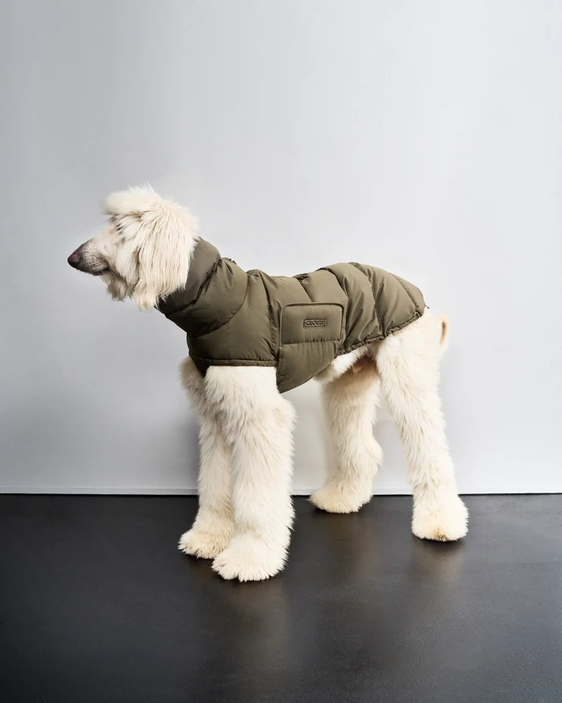 Hundemantel Alaska Light Olive