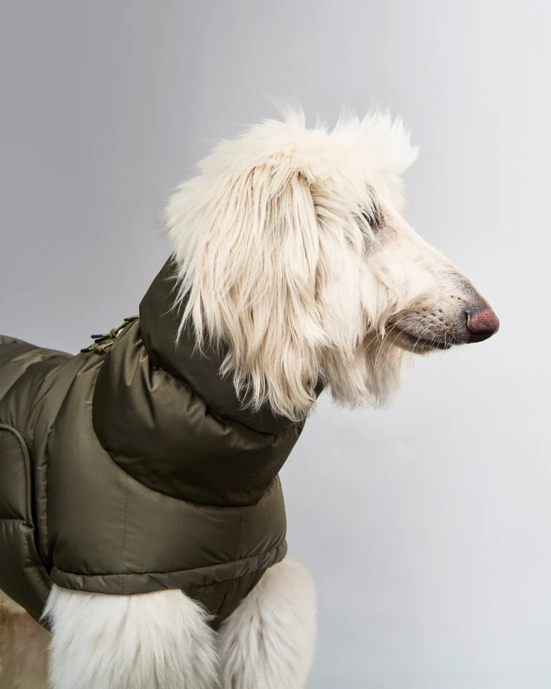 Hundemantel Alaska Light Olive