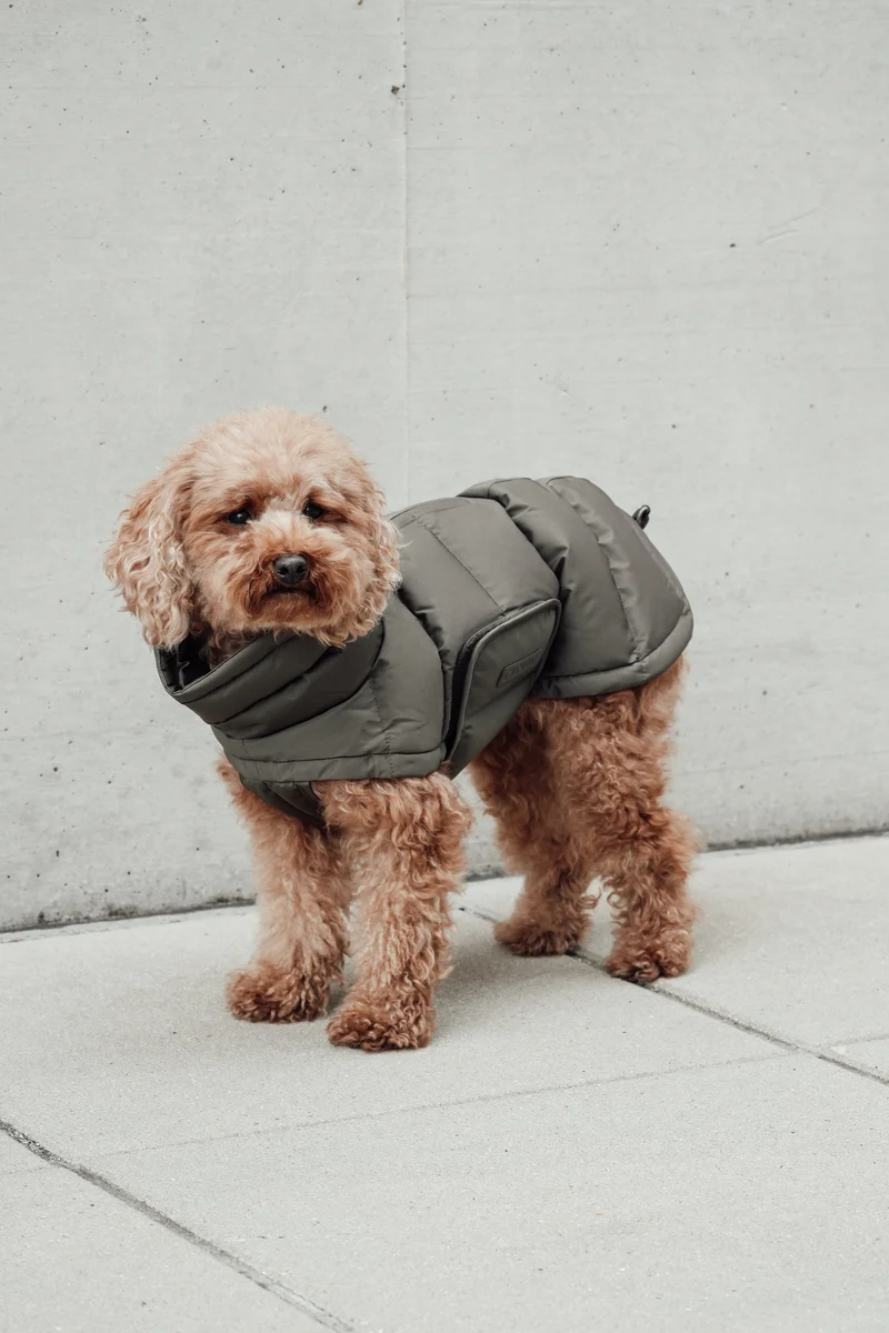 Hundemantel Alaska Light Olive