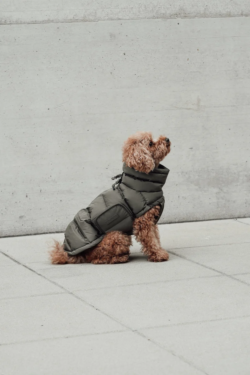 Hundemantel Alaska Light Olive