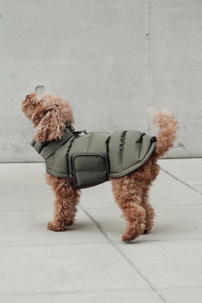 Hundemantel Alaska Light Olive