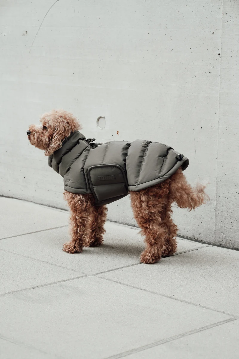 Hundemantel Alaska Light Olive