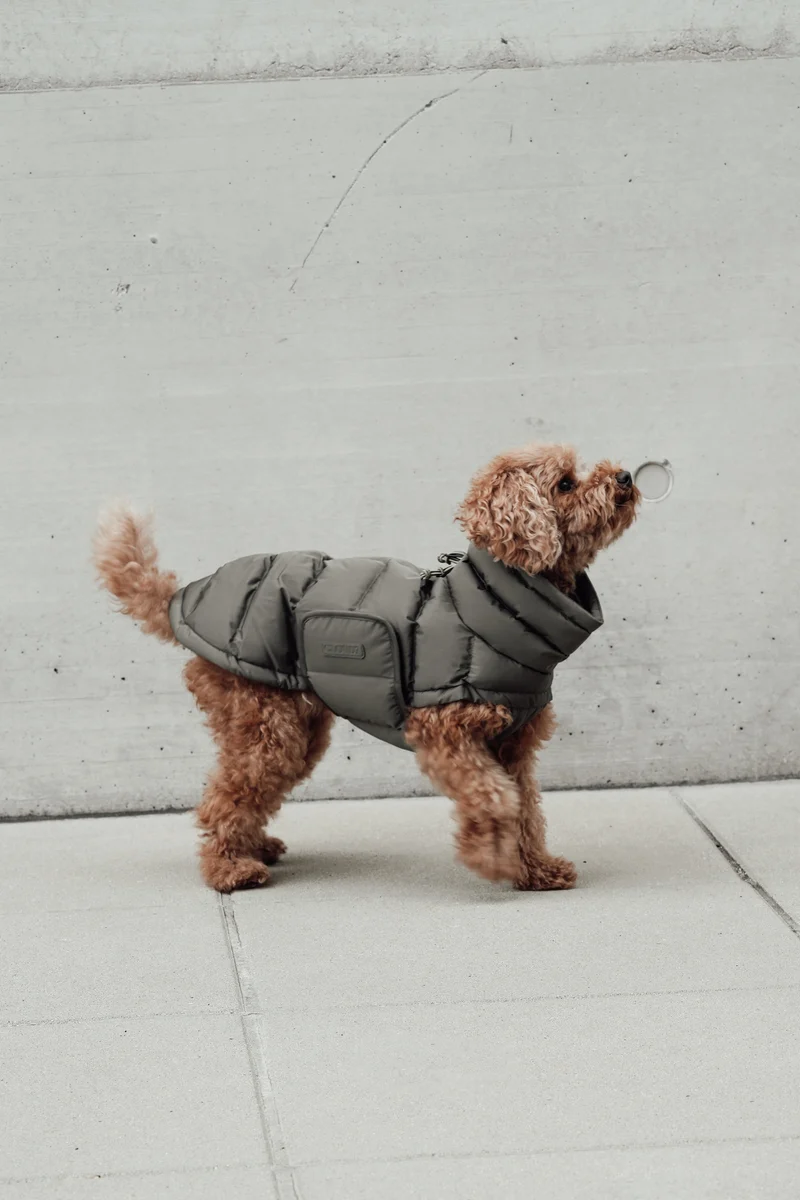 Hundemantel Alaska Light Olive