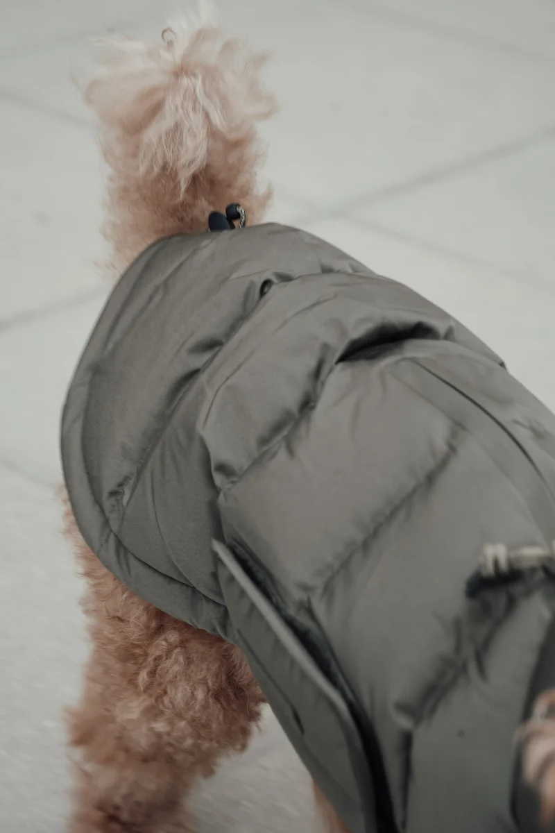 Hundemantel Alaska Light Olive