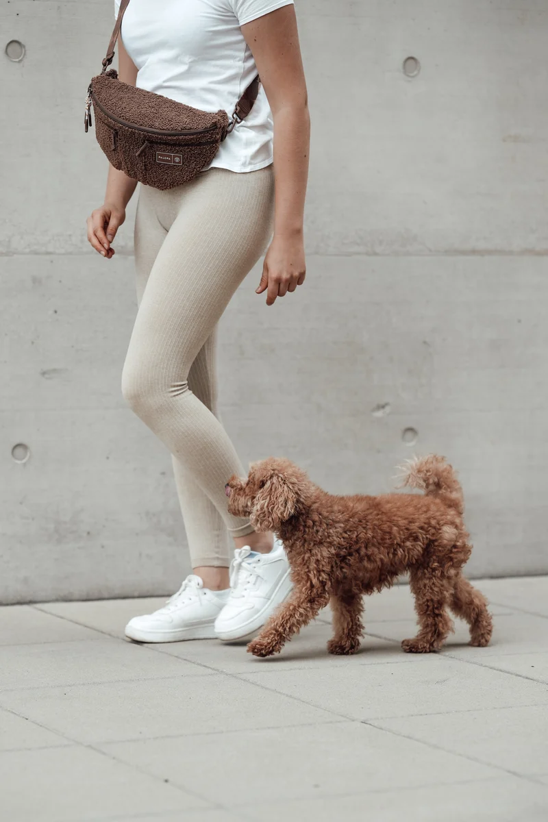 Hunde Leckerlibeutel Emma Teddy-Fleece Brown - Limited Edition