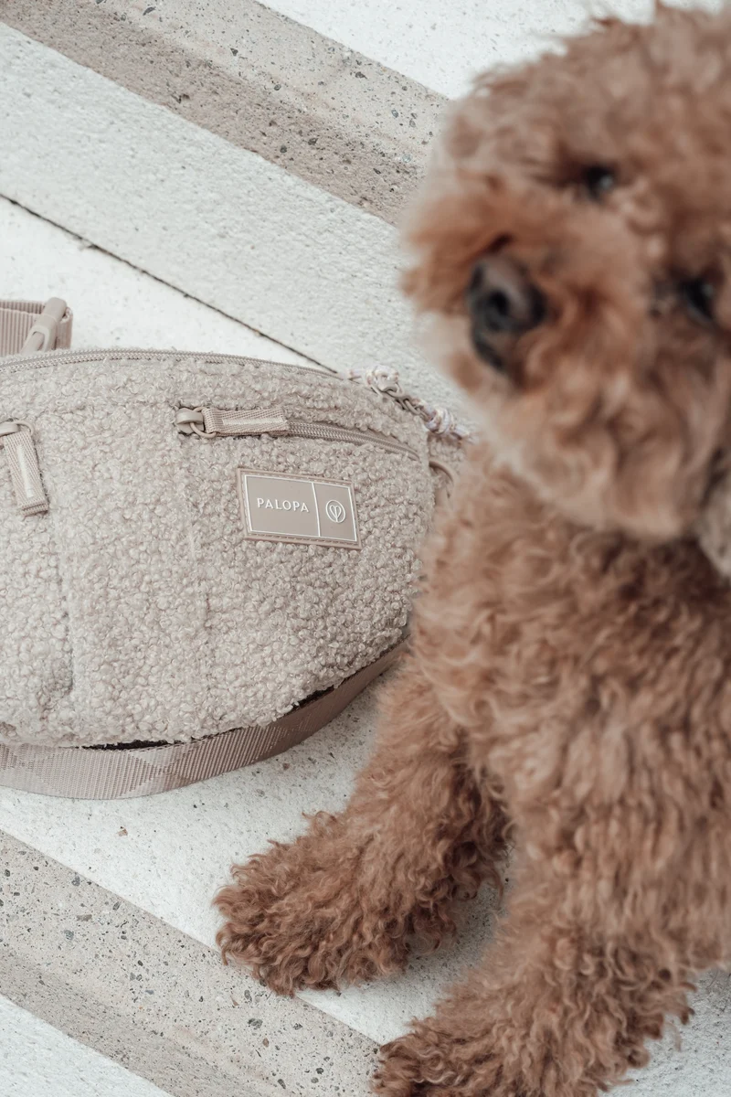 Hunde Leckerlibeutel Emma Teddy-Fleece Beige - Limited Edition