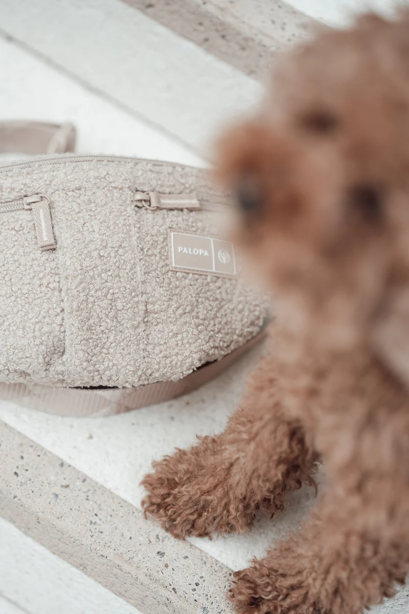 Hunde Leckerlibeutel Emma Teddy-Fleece Beige - Limited Edition