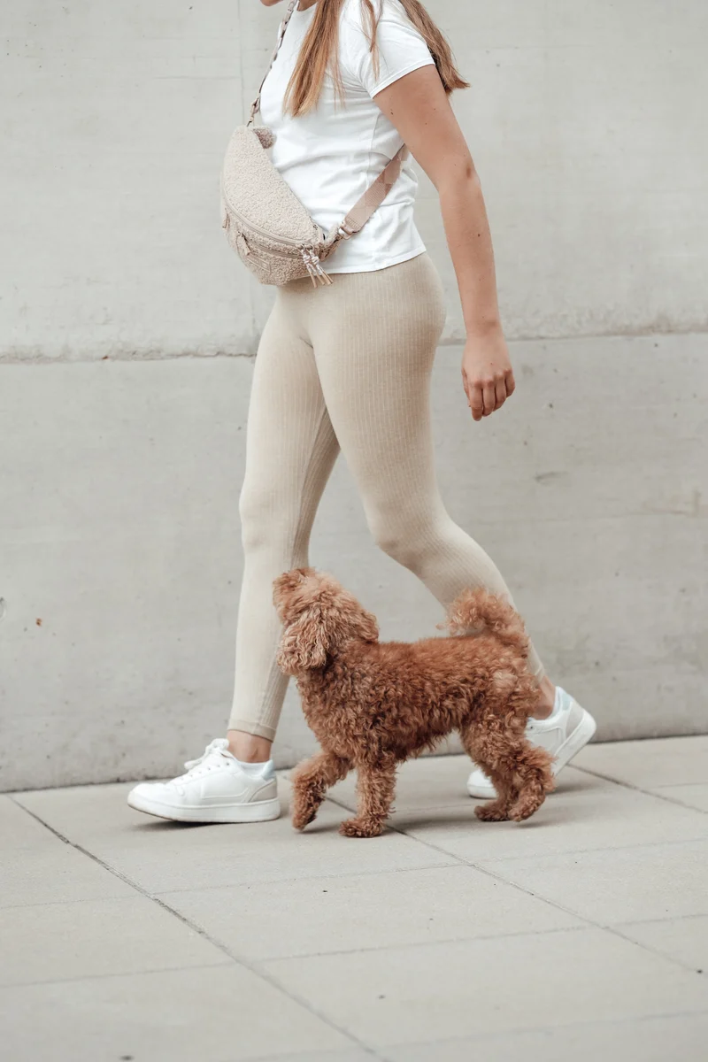 Hunde Leckerlibeutel Emma Teddy-Fleece Beige - Limited Edition