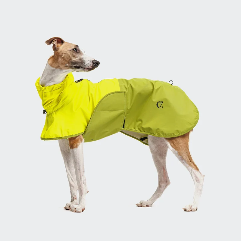 Hunderegenmantel AKTIV Neon Green/Light Olive