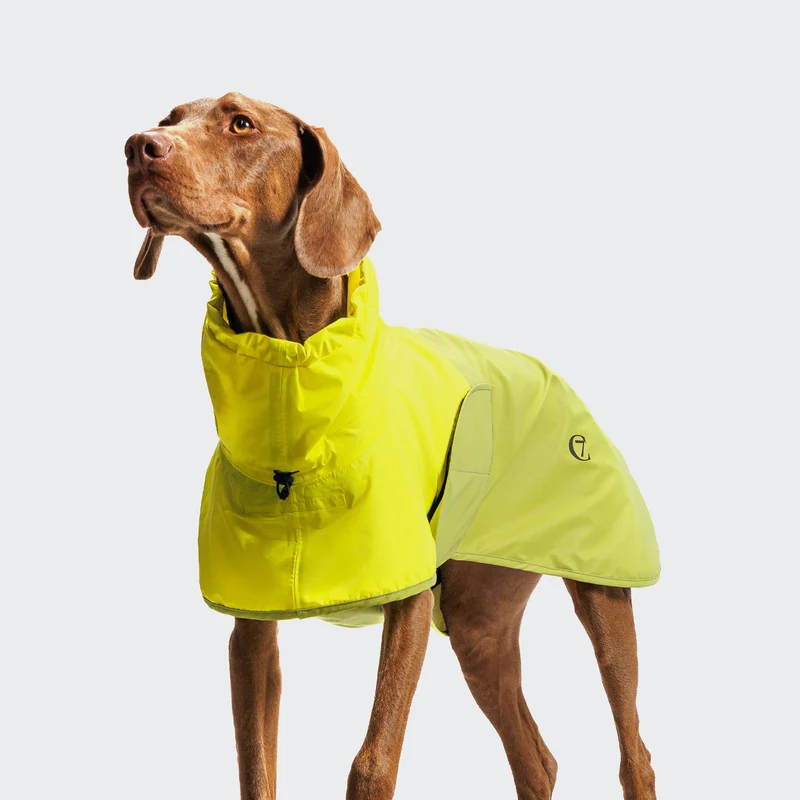 Hunderegenmantel AKTIV Neon Green/Light Olive