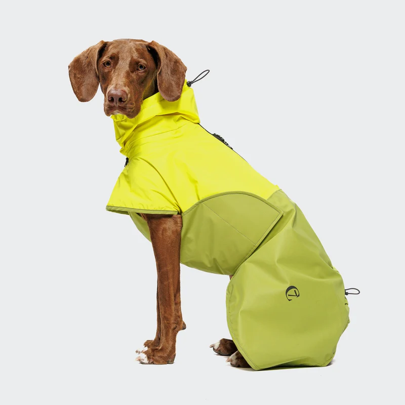 Hunderegenmantel AKTIV Neon Green/Light Olive