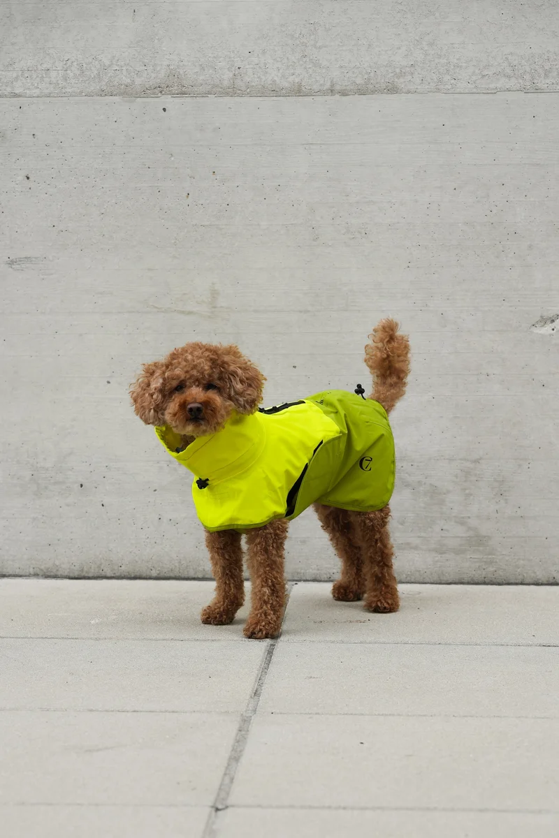 Hunderegenmantel AKTIV Neon Green/Light Olive