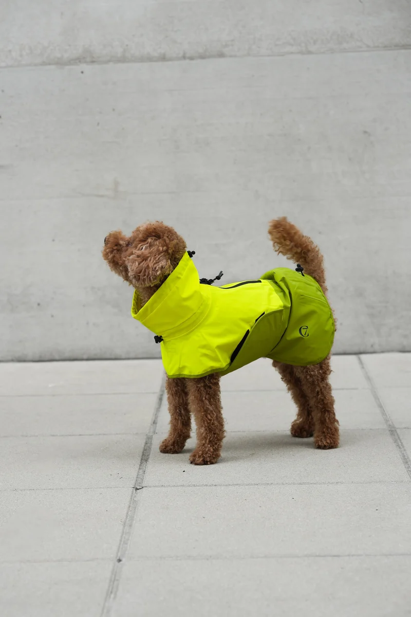 Hunderegenmantel AKTIV Neon Green/Light Olive