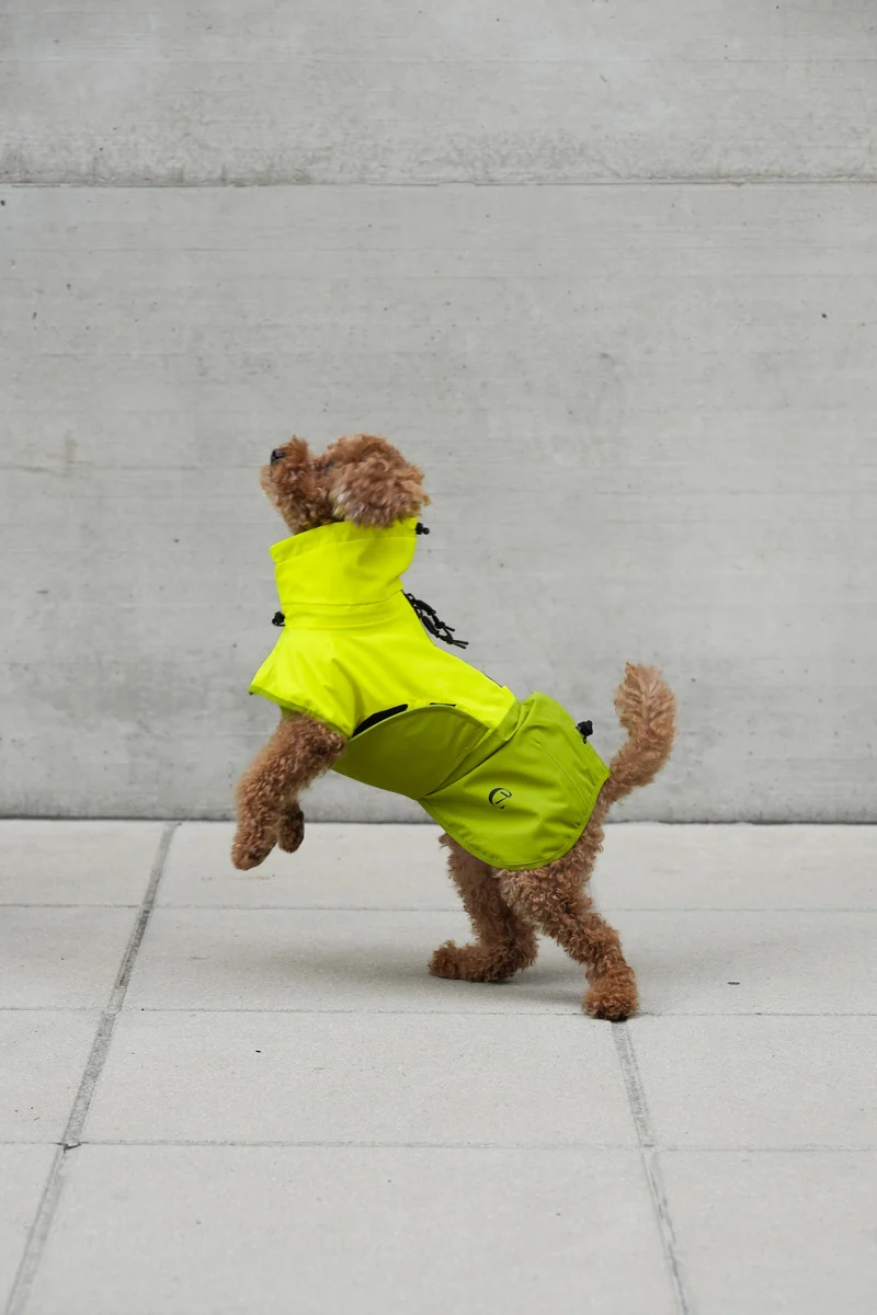 Hunderegenmantel AKTIV Neon Green/Light Olive