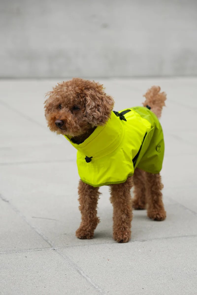 Hunderegenmantel AKTIV Neon Green/Light Olive