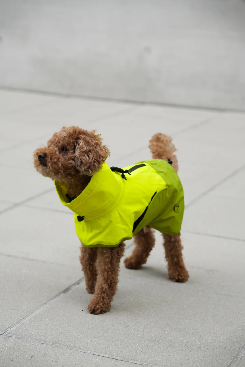 Hunderegenmantel AKTIV Neon Green/Light Olive