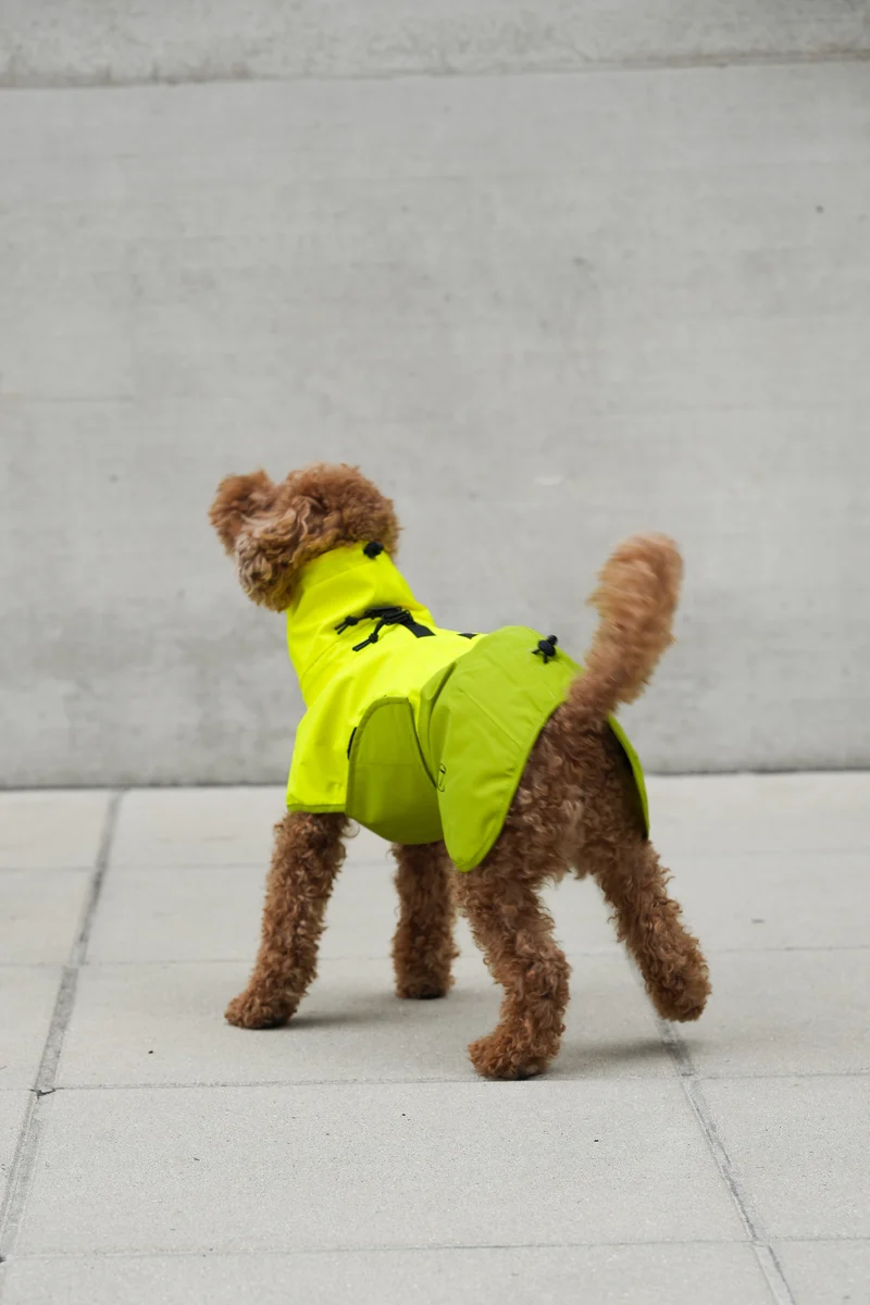 Hunderegenmantel AKTIV Neon Green/Light Olive