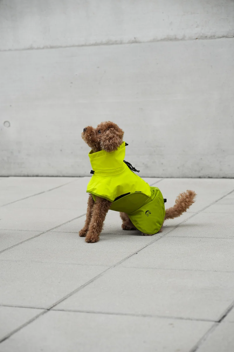 Hunderegenmantel AKTIV Neon Green/Light Olive