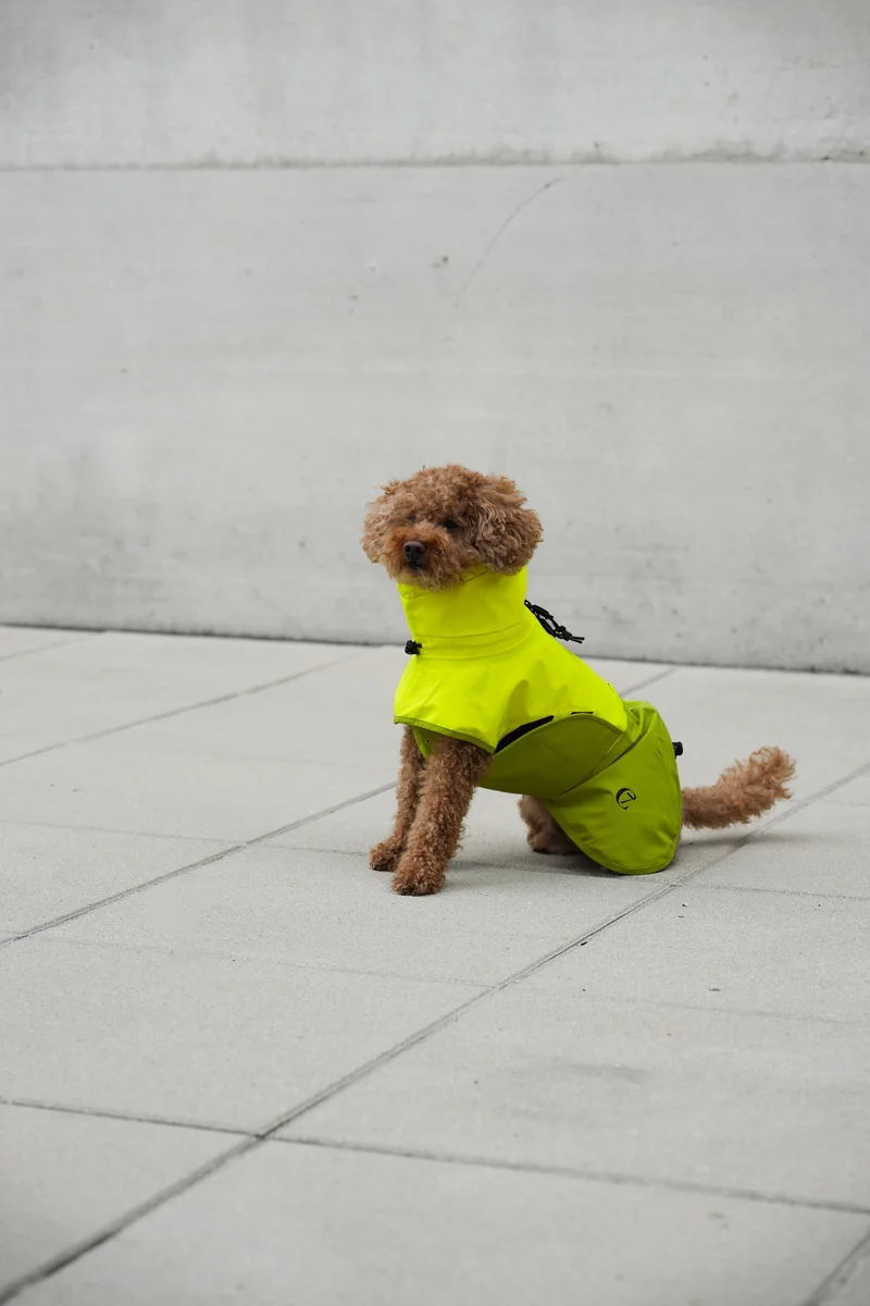 Hunderegenmantel AKTIV Neon Green/Light Olive