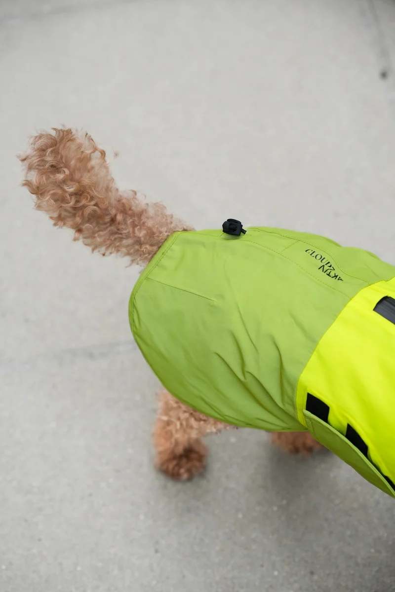 Hunderegenmantel AKTIV Neon Green/Light Olive