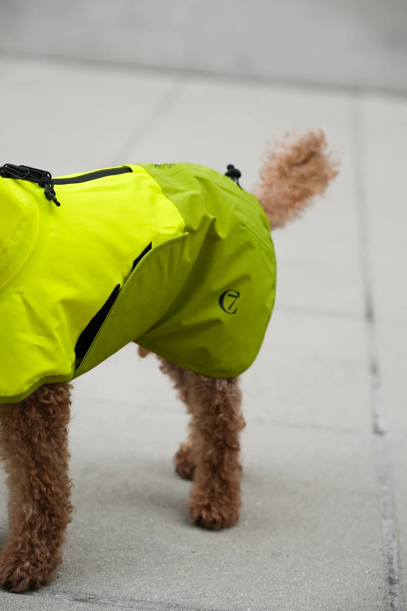 Hunderegenmantel AKTIV Neon Green/Light Olive