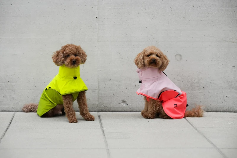 Hunderegenmantel AKTIV Neon Green/Light Olive