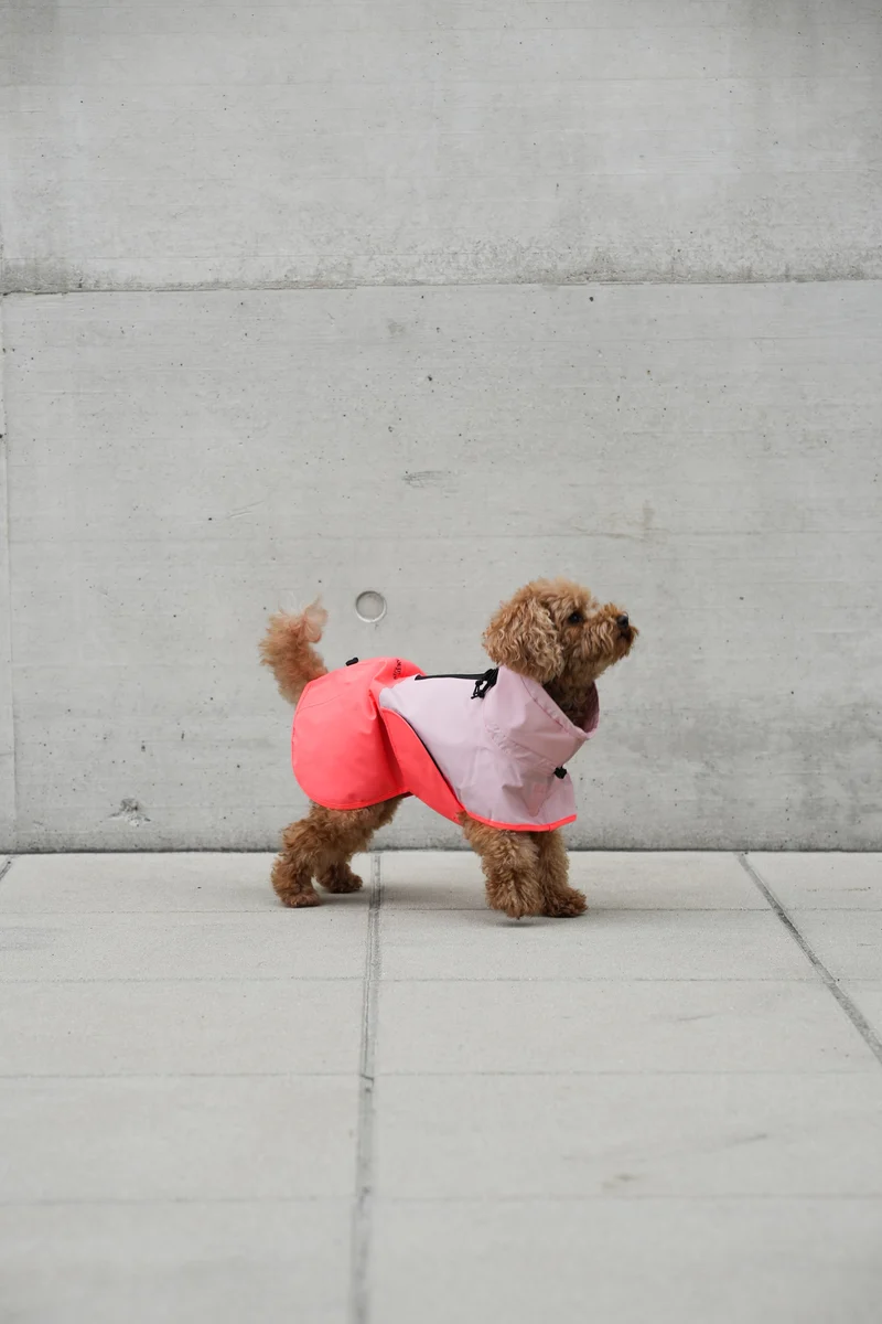 Hunderegenmantel AKTIV Peach/Neon Pink