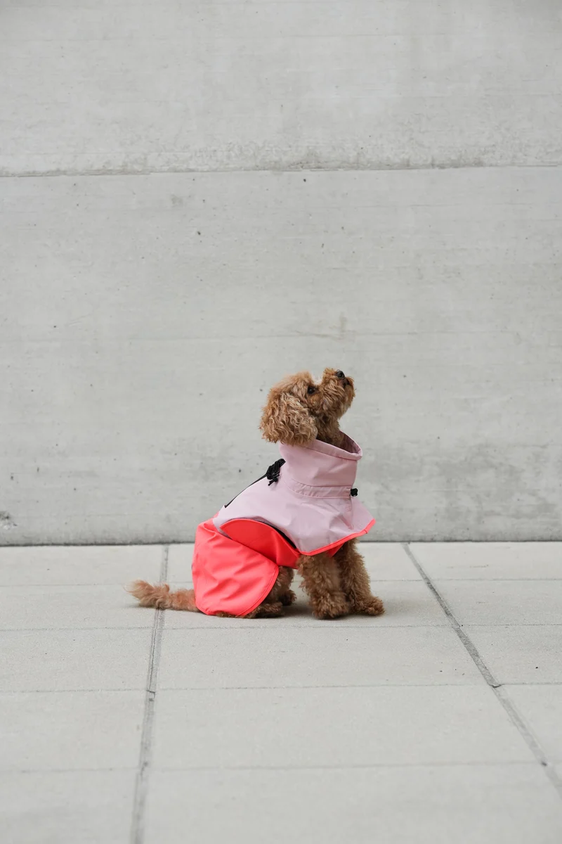 Hunderegenmantel AKTIV Peach/Neon Pink