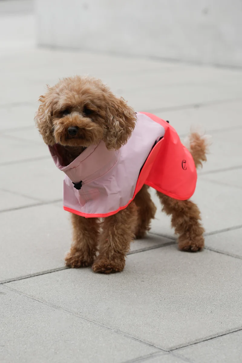 Hunderegenmantel AKTIV Peach/Neon Pink