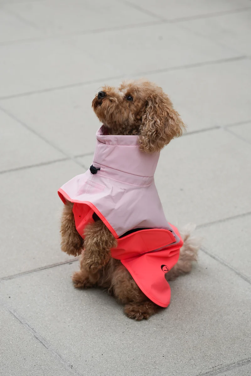 Hunderegenmantel AKTIV Peach/Neon Pink