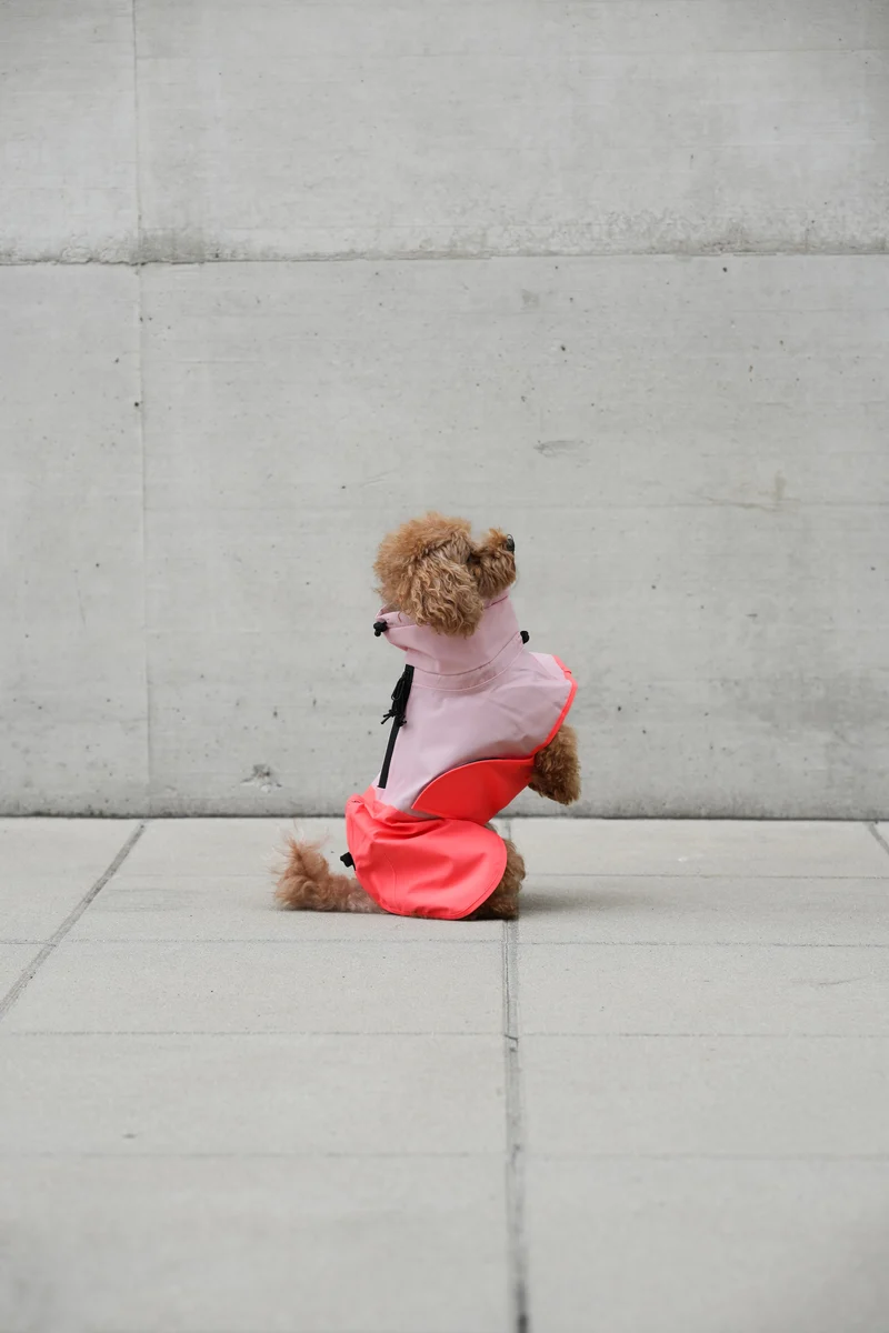 Hunderegenmantel AKTIV Peach/Neon Pink