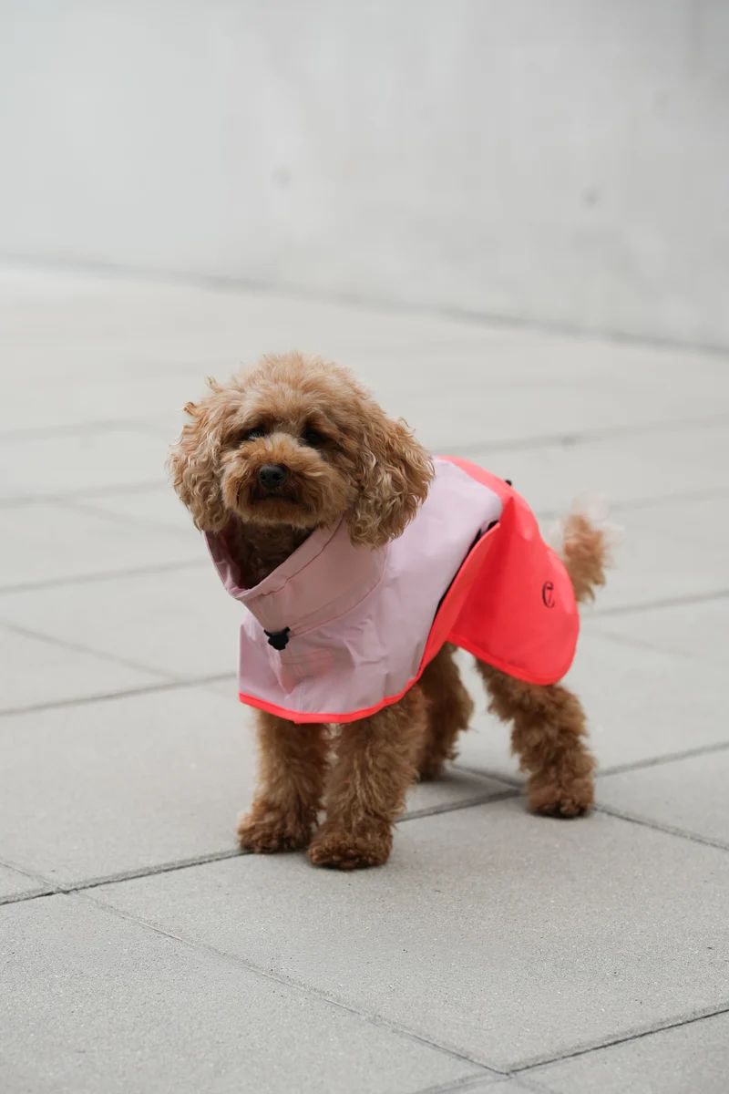 Hunderegenmantel AKTIV Peach/Neon Pink