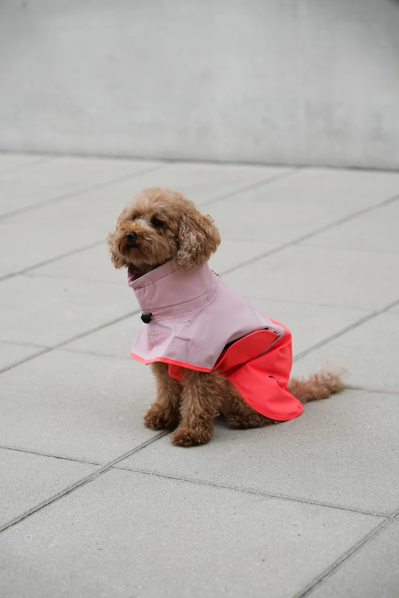 Hunderegenmantel AKTIV Peach/Neon Pink