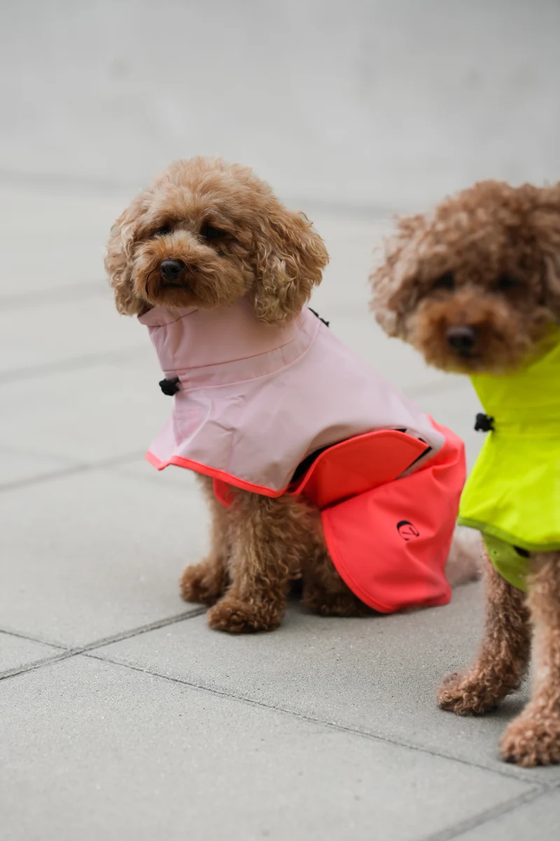 Hunderegenmantel AKTIV Peach/Neon Pink