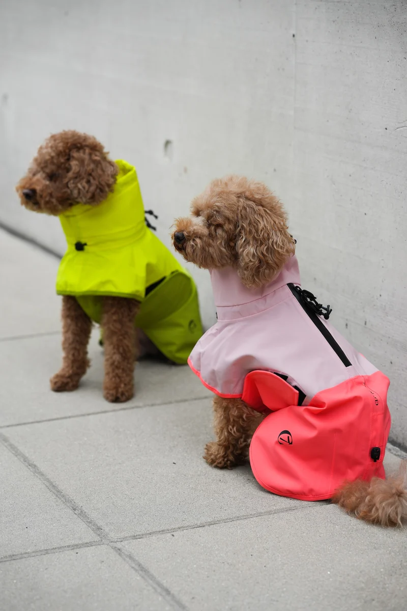 Hunderegenmantel AKTIV Peach/Neon Pink