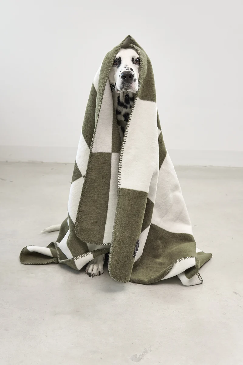 Blocco Hundedecke Grolive