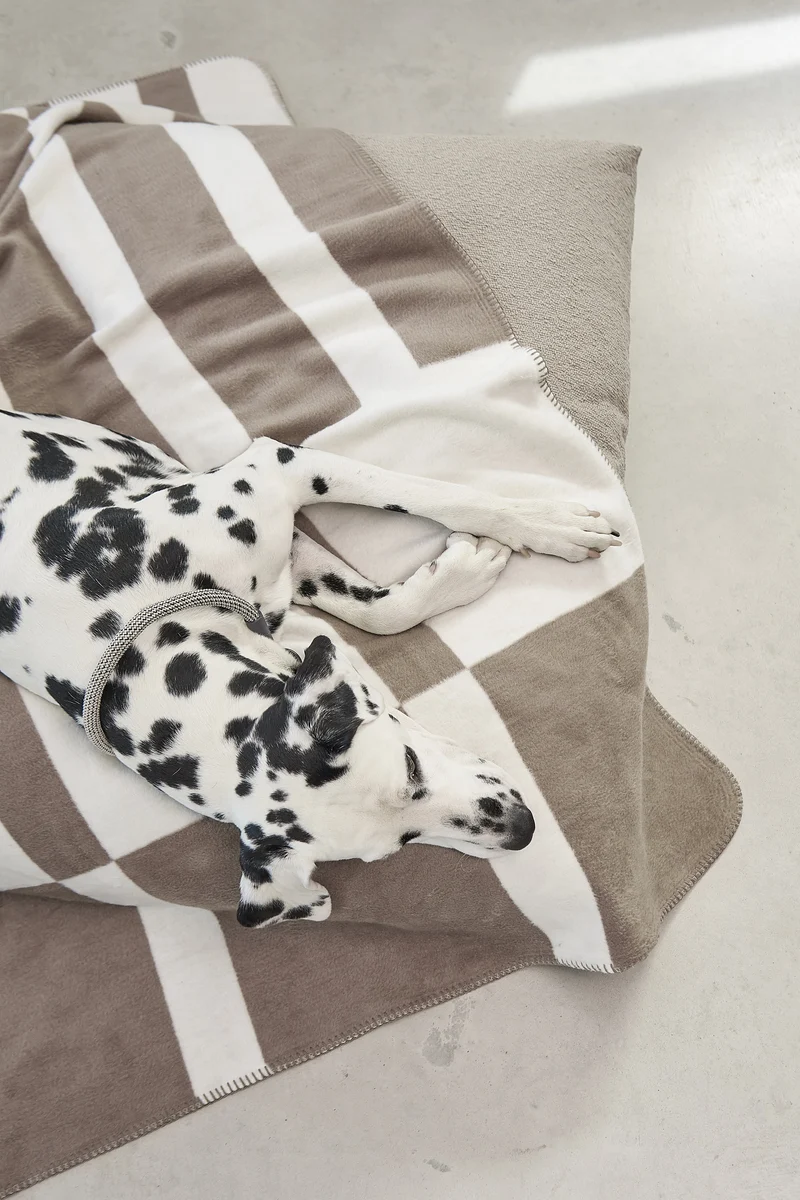 Blocco Hundedecke Taupe
