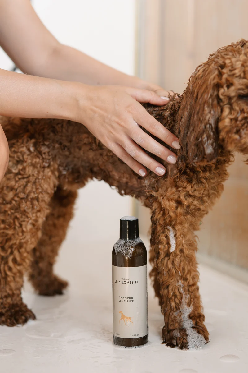 Shampoo Sensitive