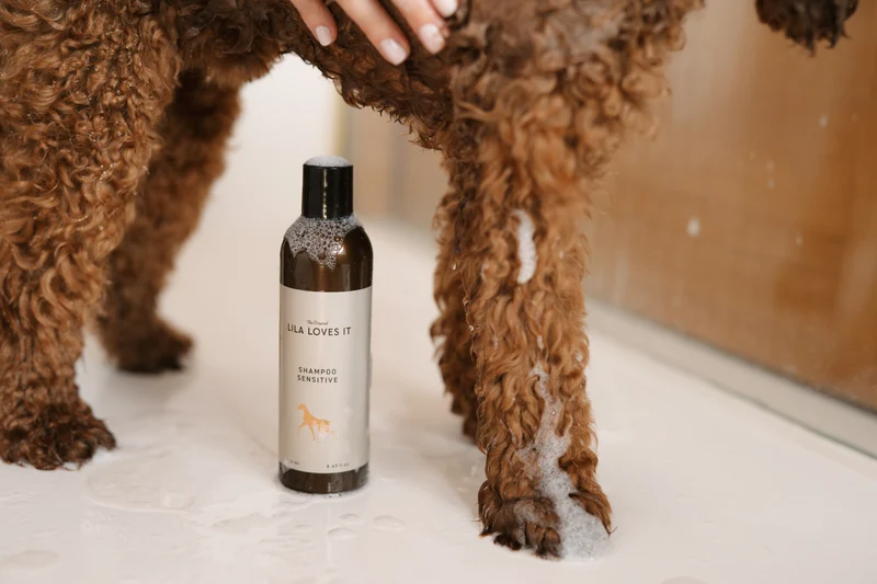 Shampoo Sensitive