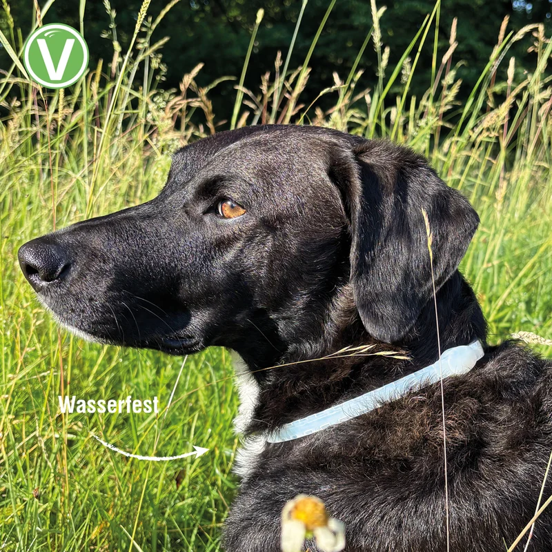 Zecken- & Floh-Halsband Kokolaurin für Hunde