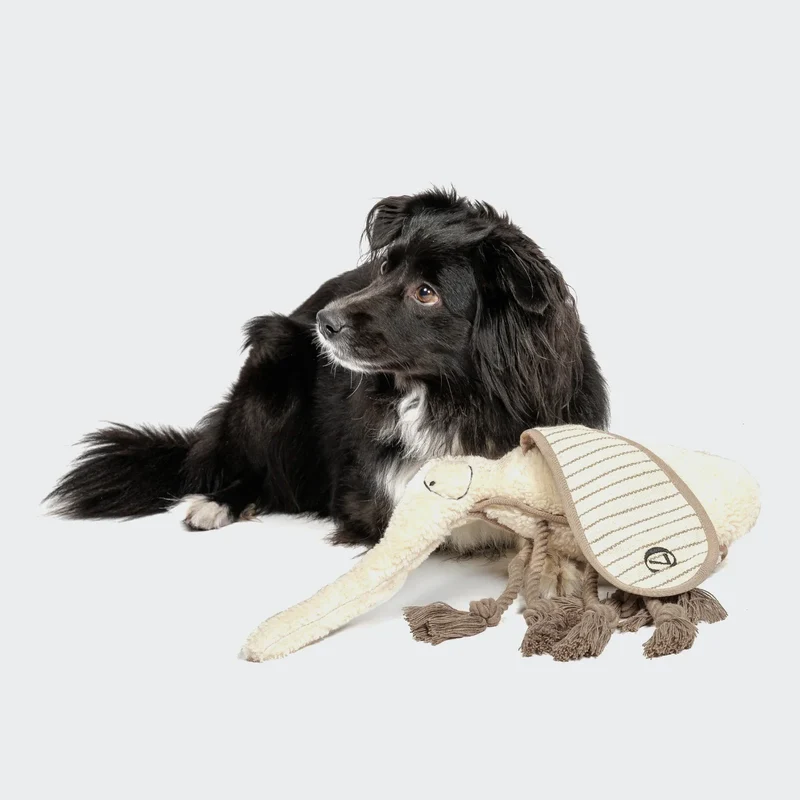 Hundespielzeug Mosquito Momo
