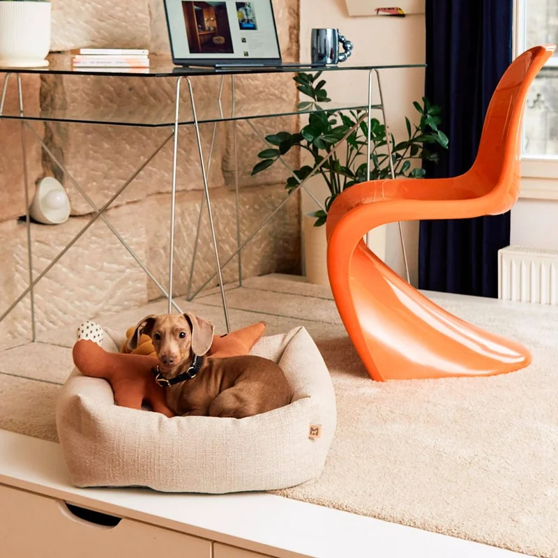 Campo Hundebett für kleine Hunde Greige