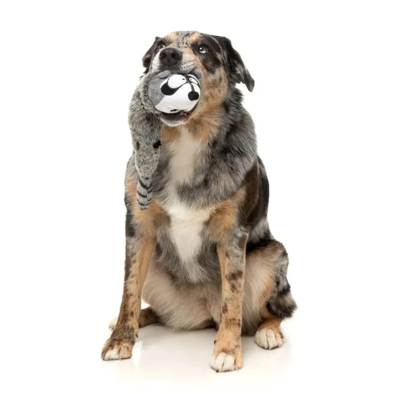 Hundespielzeug The Yeetz - Run Along Racoon