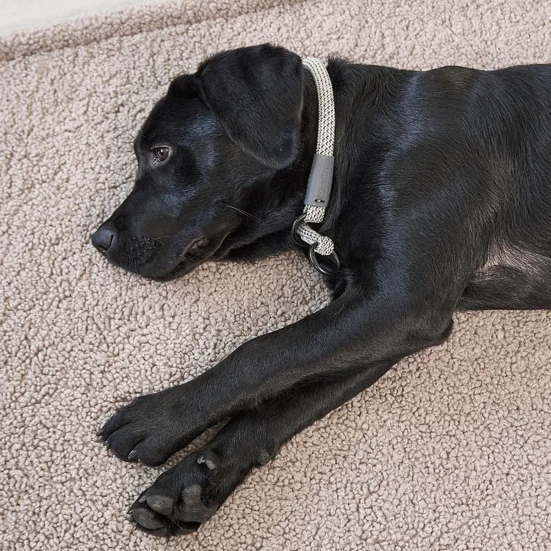 Senso Hundedecke Greige